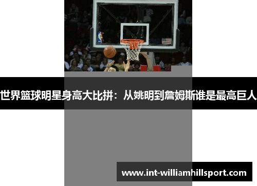世界篮球明星身高大比拼：从姚明到詹姆斯谁是最高巨人