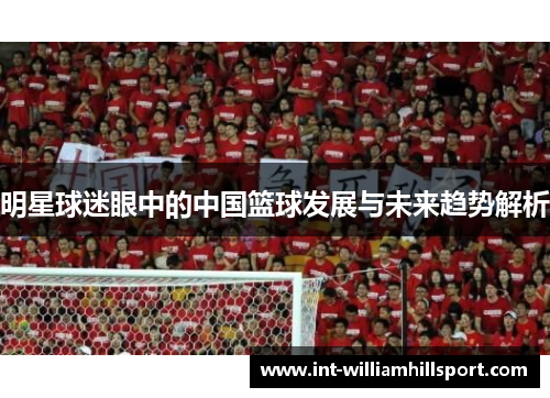 明星球迷眼中的中国篮球发展与未来趋势解析