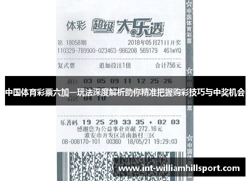 中国体育彩票六加一玩法深度解析助你精准把握购彩技巧与中奖机会