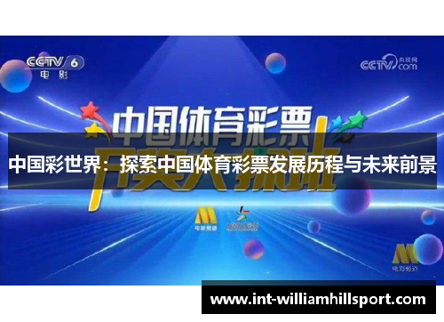 中国彩世界：探索中国体育彩票发展历程与未来前景